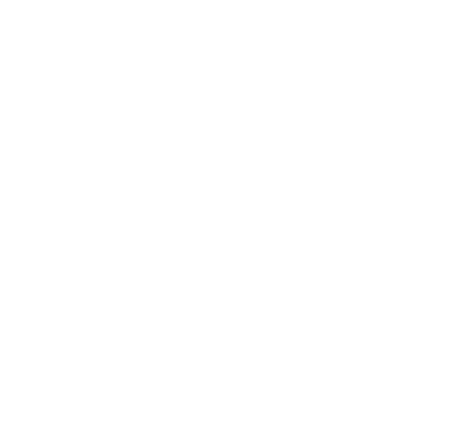 eine orangene Schwalbe vom Webdesigner